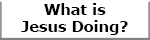 What is Jesus Doing?