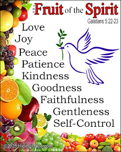 'Fruit of the Spirit' Poster Design