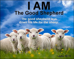 'I AM the Good Shepherd' Poster Design