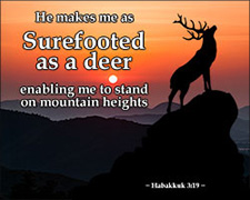 'Surefooted as a Deer' Poster Design 'Surefooted as a Deer' Poster Design