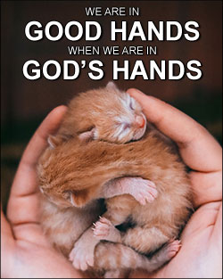 'We Are in Good Hands' Poster Design